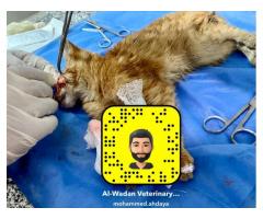مركز الودان البيطري/Al-Wadan Veterinary Center