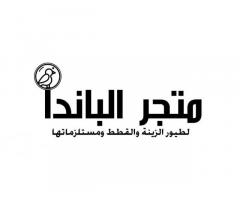 متجر الباندا لطيور الزينه والقطط ومستلزماتها