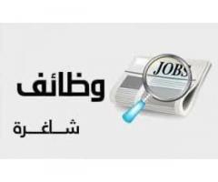 مطلوب مصور منتجات