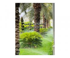 الحدائق الفاخرة لتصميم وتنسيق الحدائق