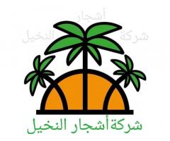 شركة اشجار النخيل لتنسيق الحدائق