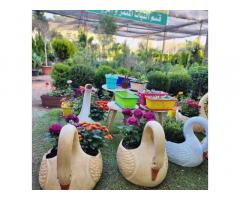 شركة الحرية HNC للاعمال الزراعية