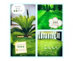دار الحياة لتنسيق الحدائق