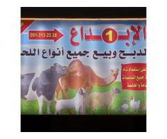 الابداع لجميع انواع اللحوم