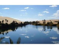 Dinar Tours شركة ديــنـــار للخدمات والإستثمار السياحي - رحلات داخلية و خارجية - طرابلس