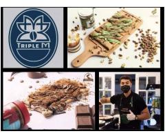 تريبل إم كافي - Triple M Cafe