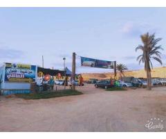 مصيف فلفول العائلي & Felfoul Family Resort