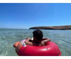 مصيف فلفول العائلي & Felfoul Family Resort