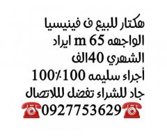 هكتار للبيع في شارع فينيسيا بنغازي