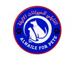 النائلي للحيوانات الاليفة