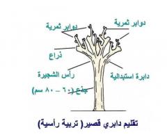 المهندس عبدالقوي الفاخري